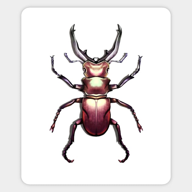 Stag Beetle Illustration Sticker by Cptninja